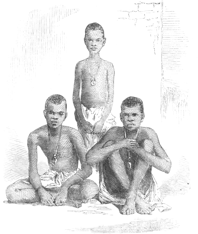 People of the Trans-Atlantic Slave Trade Image