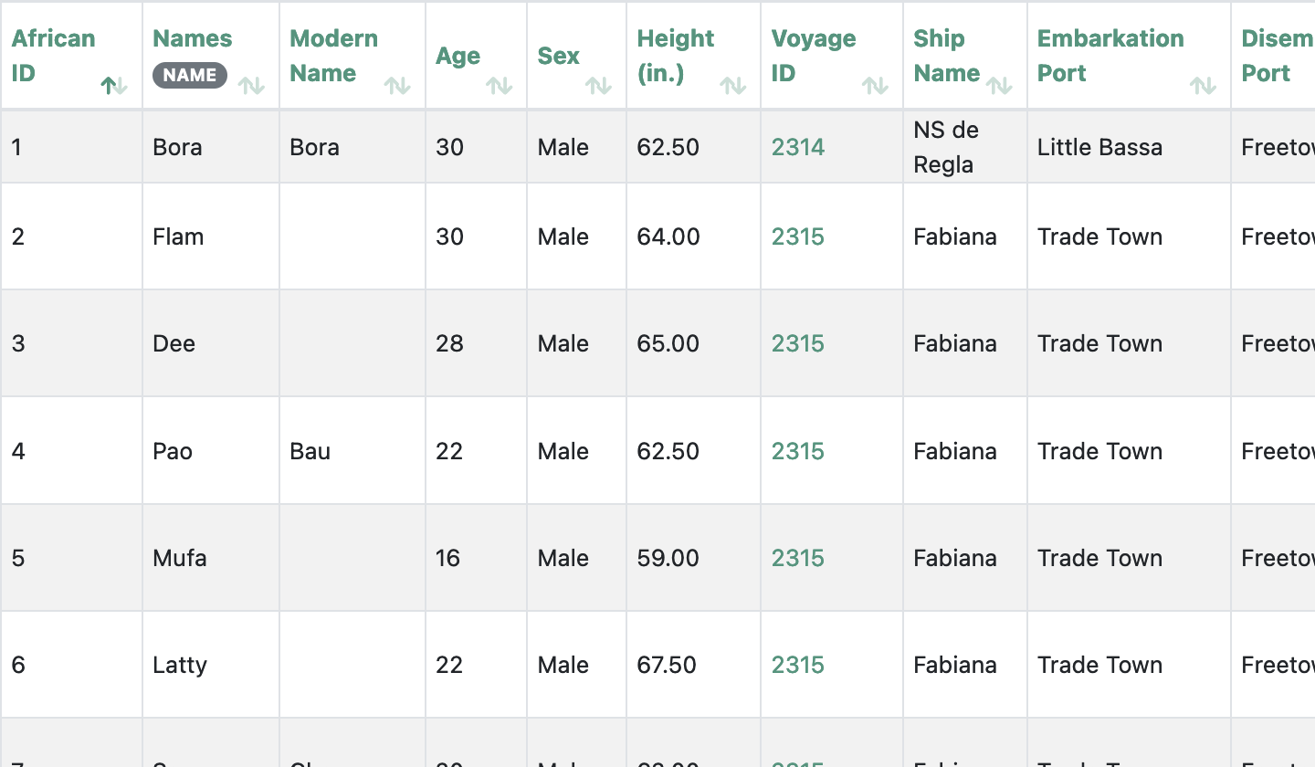 Researching the Transatlantic Slave Trade