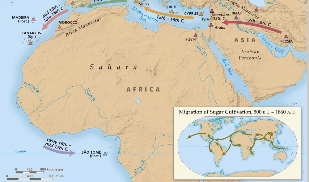 Migration of sugar cultivation from Asia into the Atlantic